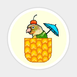 Pineapple Conure with Pineapple and Cherry Magnet